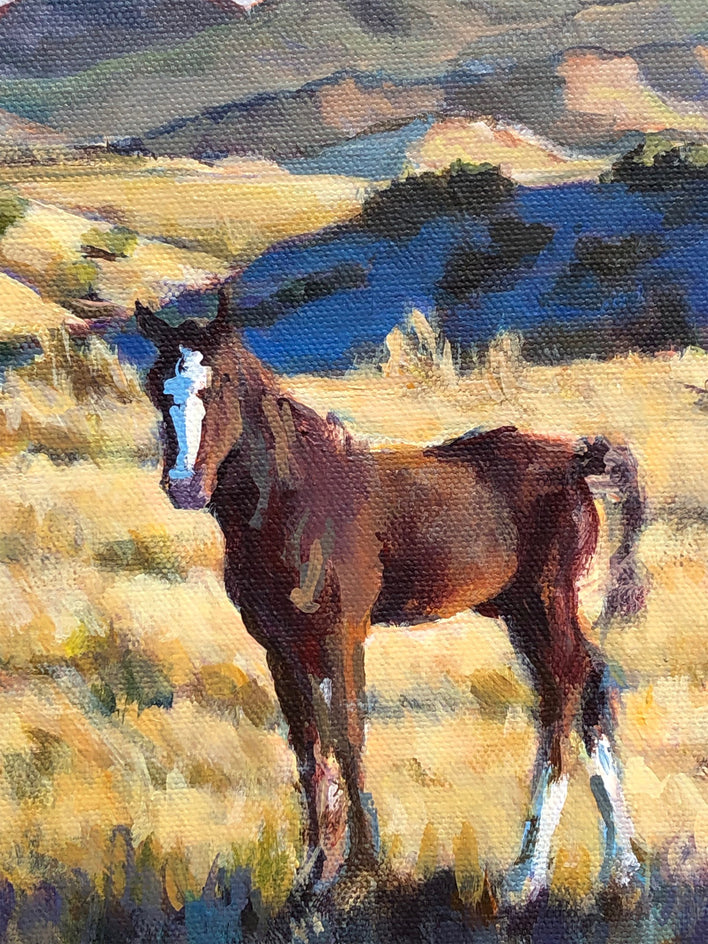 Colt Stare by Heather Foster |  Closeup View of Artwork 
