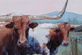 Original art for sale at UGallery.com | Pagosa 2 Bulls by Heather Foster | $1,950 | acrylic painting | 16' h x 20' w | thumbnail 4
