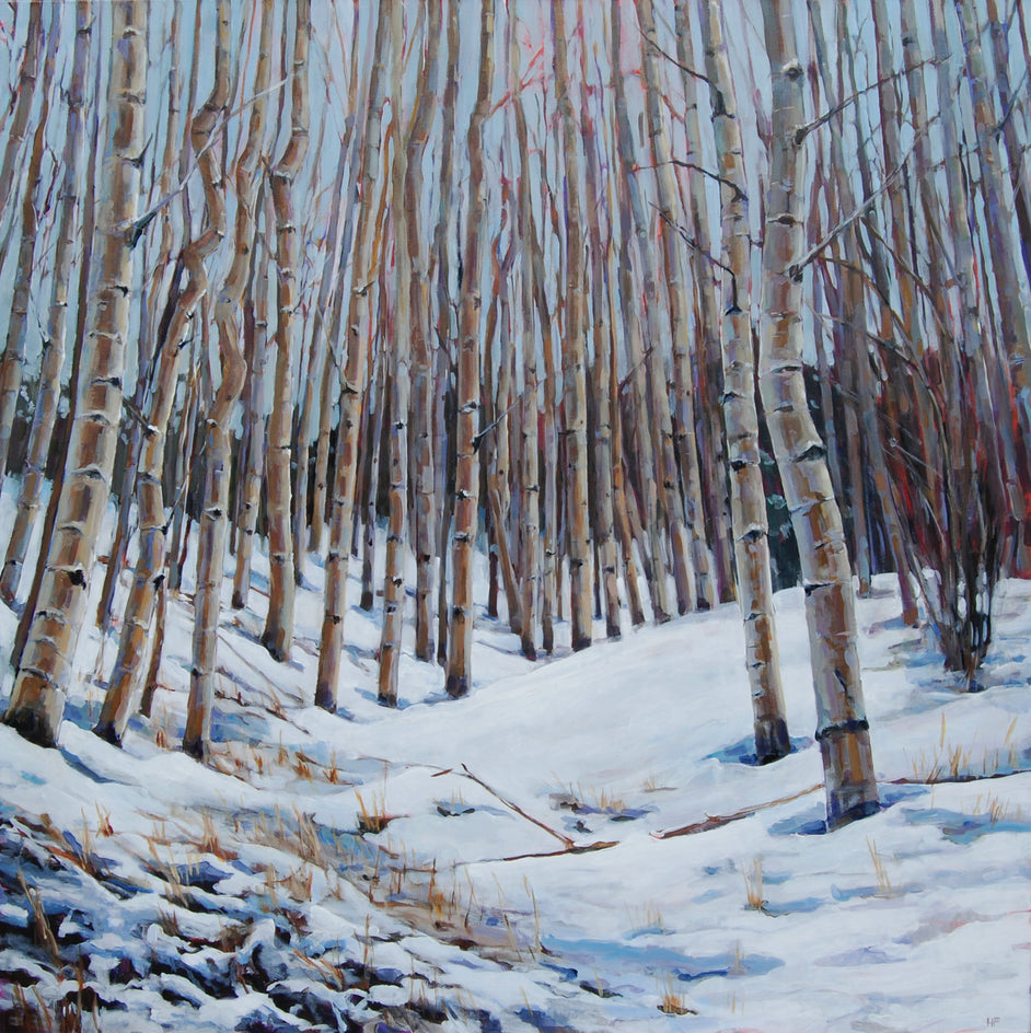 Snowy Aspen Grove by Heather Foster |  Artwork Main Image 