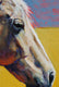 Original art for sale at UGallery.com | Summer Horse by Heather Foster | $1,275 | acrylic painting | 12' h x 16' w | thumbnail 4