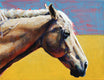 Original art for sale at UGallery.com | Summer Horse by Heather Foster | $1,275 | acrylic painting | 12' h x 16' w | thumbnail 1