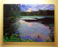 Original art for sale at UGallery.com | The Clearing by Onelio Marrero | $2,525 | oil painting | 36' h x 48' w | thumbnail 3