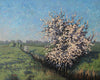 Original art for sale at UGallery.com | Wild Plum Blossoms by Stefan Conka | $1,525 | oil painting | 23.6' h x 29.5' w | thumbnail 1