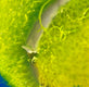 Original art for sale at UGallery.com | Tennis Ball by Stephen Capogna | $3,400 | acrylic painting | 50' h x 38' w | thumbnail 4