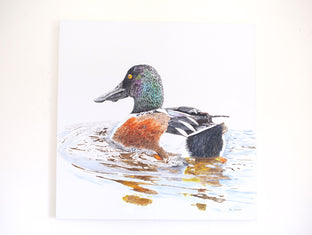 A Northern Shoveler Churning by Emil Morhardt |  Context View of Artwork 