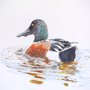 Original art for sale at UGallery.com | A Northern Shoveler Churning by Emil Morhardt | $1,900 | acrylic painting | 30' h x 30' w | photo 1