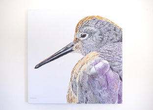 Original art for sale at UGallery.com | Sleepy Willet by Emil Morhardt | $1,900 | acrylic painting | 30' h x 30' w | photo 3