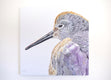 Original art for sale at UGallery.com | Sleepy Willet by Emil Morhardt | $1,900 | acrylic painting | 30' h x 30' w | thumbnail 3