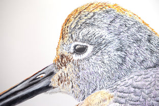 Original art for sale at UGallery.com | Sleepy Willet by Emil Morhardt | $1,900 | acrylic painting | 30' h x 30' w | photo 4
