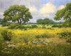 Original art for sale at UGallery.com | Beginning to Clear by David Forks | $2,925 | oil painting | 24' h x 30' w | thumbnail 1