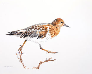 Original art for sale at UGallery.com | Black Turnstone #3 by Emil Morhardt | $425 | watercolor painting | 16' h x 20' w | photo 1
