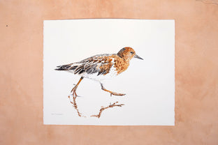 Black Turnstone #3 by Emil Morhardt |  Context View of Artwork 