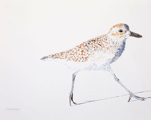 Original art for sale at UGallery.com | Black-Bellied Plover #9 by Emil Morhardt | $425 | watercolor painting | 16' h x 20' w | photo 1