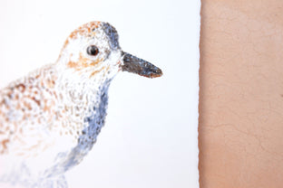Original art for sale at UGallery.com | Black-Bellied Plover #9 by Emil Morhardt | $425 | watercolor painting | 16' h x 20' w | photo 2
