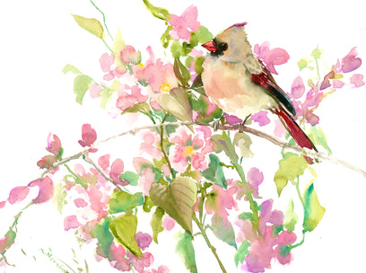 Female Cardinal and Pink Blossom by Suren Nersisyan | Artwork Main Image