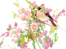 Original art for sale at UGallery.com | Female Cardinal and Pink Blossom by Suren Nersisyan | $325 | watercolor painting | 12' h x 16' w | thumbnail 1