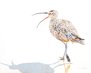 Whimbrel #11 Speaking Out by Emil Morhardt |  Artwork Main Image 