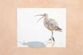 Original art for sale at UGallery.com | Whimbrel #11 Speaking Out by Emil Morhardt | $425 | watercolor painting | 16' h x 20' w | thumbnail 3