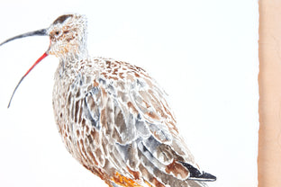 Whimbrel #11 Speaking Out by Emil Morhardt |  Side View of Artwork 