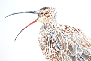 Original art for sale at UGallery.com | Whimbrel #11 Speaking Out by Emil Morhardt | $425 | watercolor painting | 16' h x 20' w | photo 4