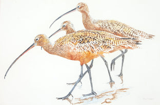 Original art for sale at UGallery.com | Three Long-Billed Curlews by Emil Morhardt | $1,925 | acrylic painting | 24' h x 36' w | photo 1