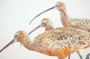 Three Long-Billed Curlews by Emil Morhardt |   Closeup View of Artwork 