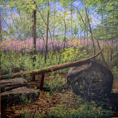 Spring on Little Round Top by Jay Jensen | Artwork Main Image