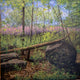 Original art for sale at UGallery.com | Spring on Little Round Top by Jay Jensen | $2,850 | oil painting | 30' h x 30' w | thumbnail 1