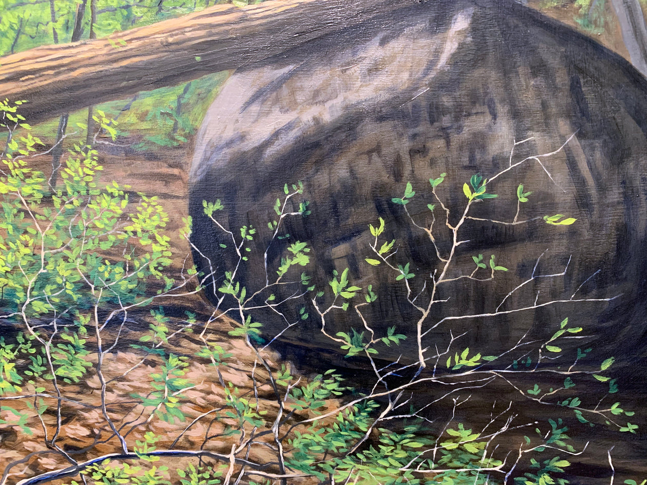 Spring on Little Round Top by Jay Jensen |  Closeup View of Artwork 