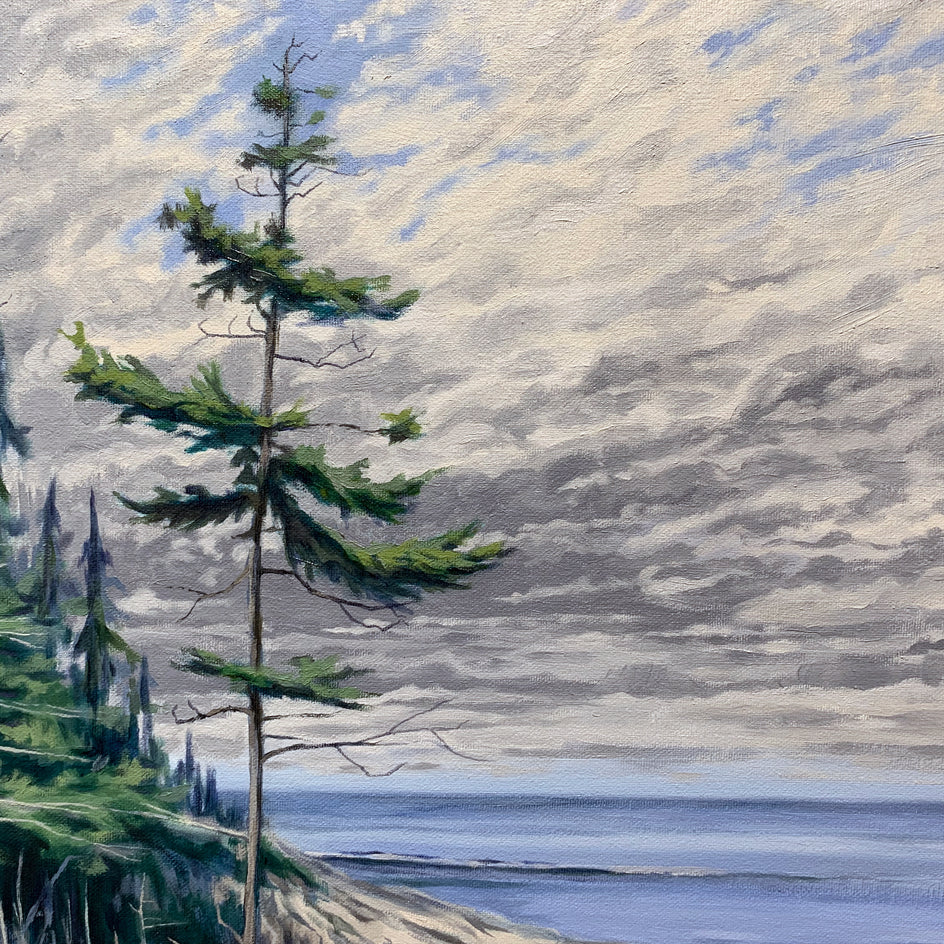 The Trail at West Quoddy Head by Jay Jensen |  Closeup View of Artwork 