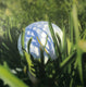 Original art for sale at UGallery.com | Hiding Golf Ball by Stephen Capogna | $1,700 | acrylic painting | 30' h x 30' w | thumbnail 1