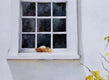 Original art for sale at UGallery.com | Rooted by Dwight Smith | $375 | watercolor painting | 10' h x 7' w | thumbnail 4