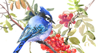 Original art for sale at UGallery.com | Blue Jay and Rowan by Suren Nersisyan | $300 | watercolor painting | 12' h x 12' w | photo 4