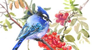 Original art for sale at UGallery.com | Blue Jay and Rowan by Suren Nersisyan | $300 | watercolor painting | 12' h x 12' w | photo 4