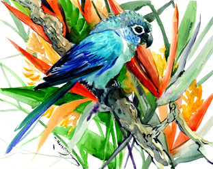 Sun Conure and Paradise Flowers, Tropics by Suren Nersisyan |  Artwork Main Image 