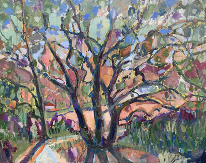 Saratoga Live Oaks by James Hartman | Artwork Main Image