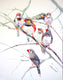 Original art for sale at UGallery.com | Zebra Finches (Vertical) by Suren Nersisyan | $350 | watercolor painting | 14' h x 11' w | thumbnail 1