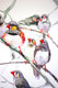 Original art for sale at UGallery.com | Zebra Finches (Vertical) by Suren Nersisyan | $350 | watercolor painting | 14' h x 11' w | thumbnail 3
