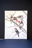 Original art for sale at UGallery.com | Zebra Finches (Vertical) by Suren Nersisyan | $350 | watercolor painting | 14' h x 11' w | thumbnail 2