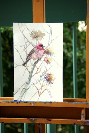 House Finch in the Field (Vertical) by Suren Nersisyan |  Context View of Artwork 
