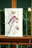 Original art for sale at UGallery.com | House Finch in the Field (Vertical) by Suren Nersisyan | $300 | watercolor painting | 13.9' h x 9' w | thumbnail 3