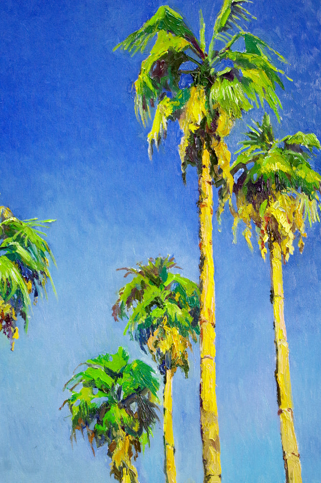 Tall Californian Palm Trees on the Road, Midday Sunlight by Suren Nersisyan |  Closeup View of Artwork 