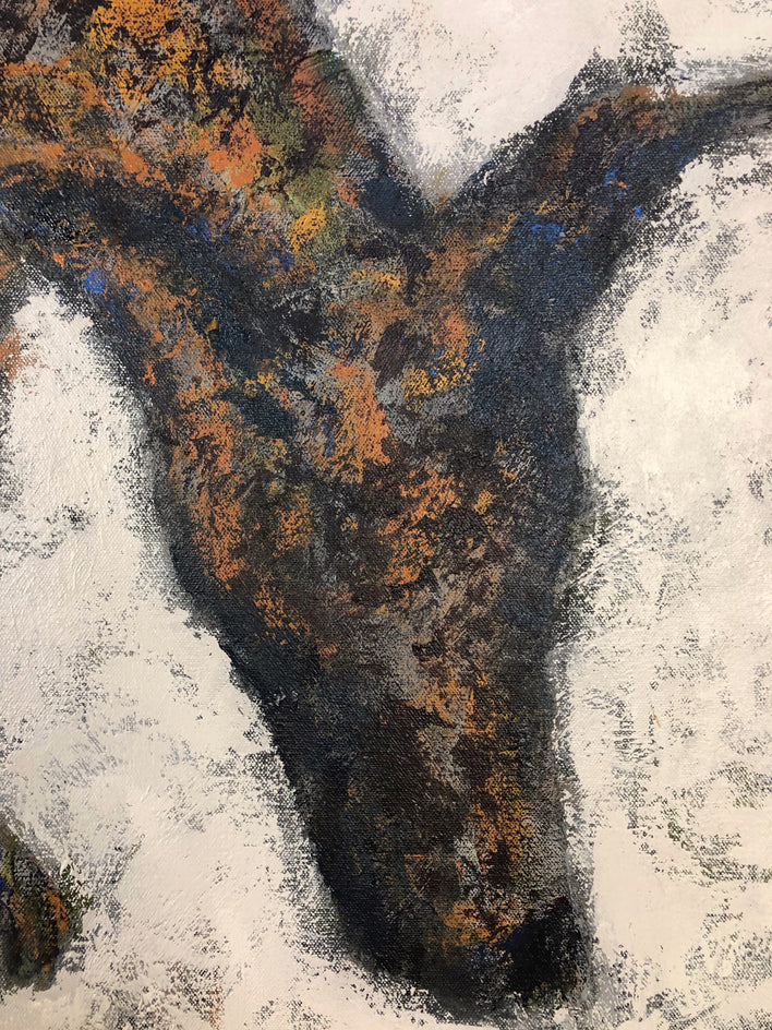 Coyote by Jaime Ellsworth |  Closeup View of Artwork 