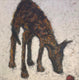 Original art for sale at UGallery.com | Coyote by Jaime Ellsworth | $4,100 | oil painting | 36' h x 36' w | thumbnail 1