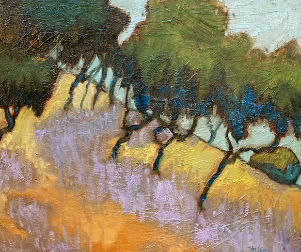 Mountain Tree Shadow by James Hartman |  Artwork Main Image 