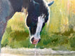 Original art for sale at UGallery.com | Morning Sun by Jan Fontecchio Perley | $725 | oil painting | 12' h x 16' w | thumbnail 4