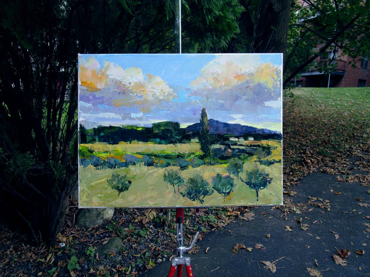 Fields at Sunset, Provence by Janet Dyer |  Context View of Artwork 