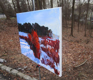 Original art for sale at UGallery.com | Miscanthus in Snow by Janet Dyer | $975 | acrylic painting | 18' h x 24' w | thumbnail 2