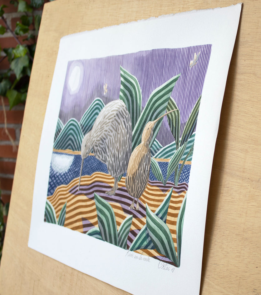 Kiwis at Night by Javier Ortas |  Context View of Artwork 