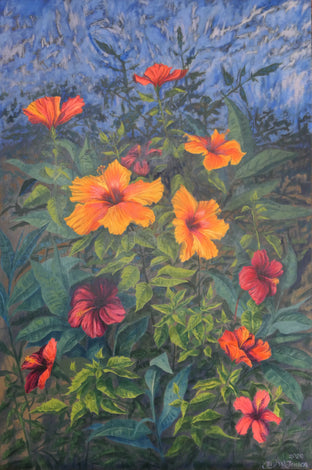 Hibiscus Explosion by Jay Jensen |  Artwork Main Image 